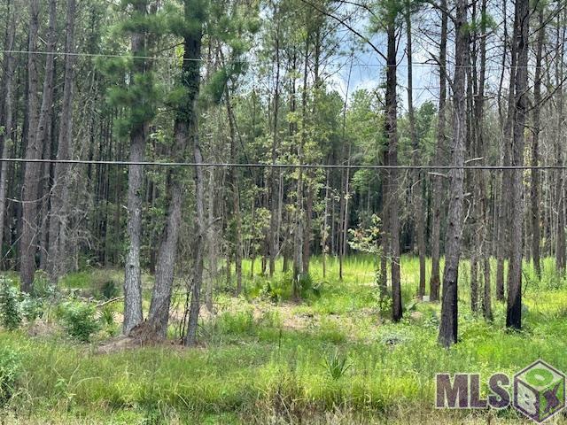 14373 Springfield Road Walker, LA 70785 - Photo 3 of 5