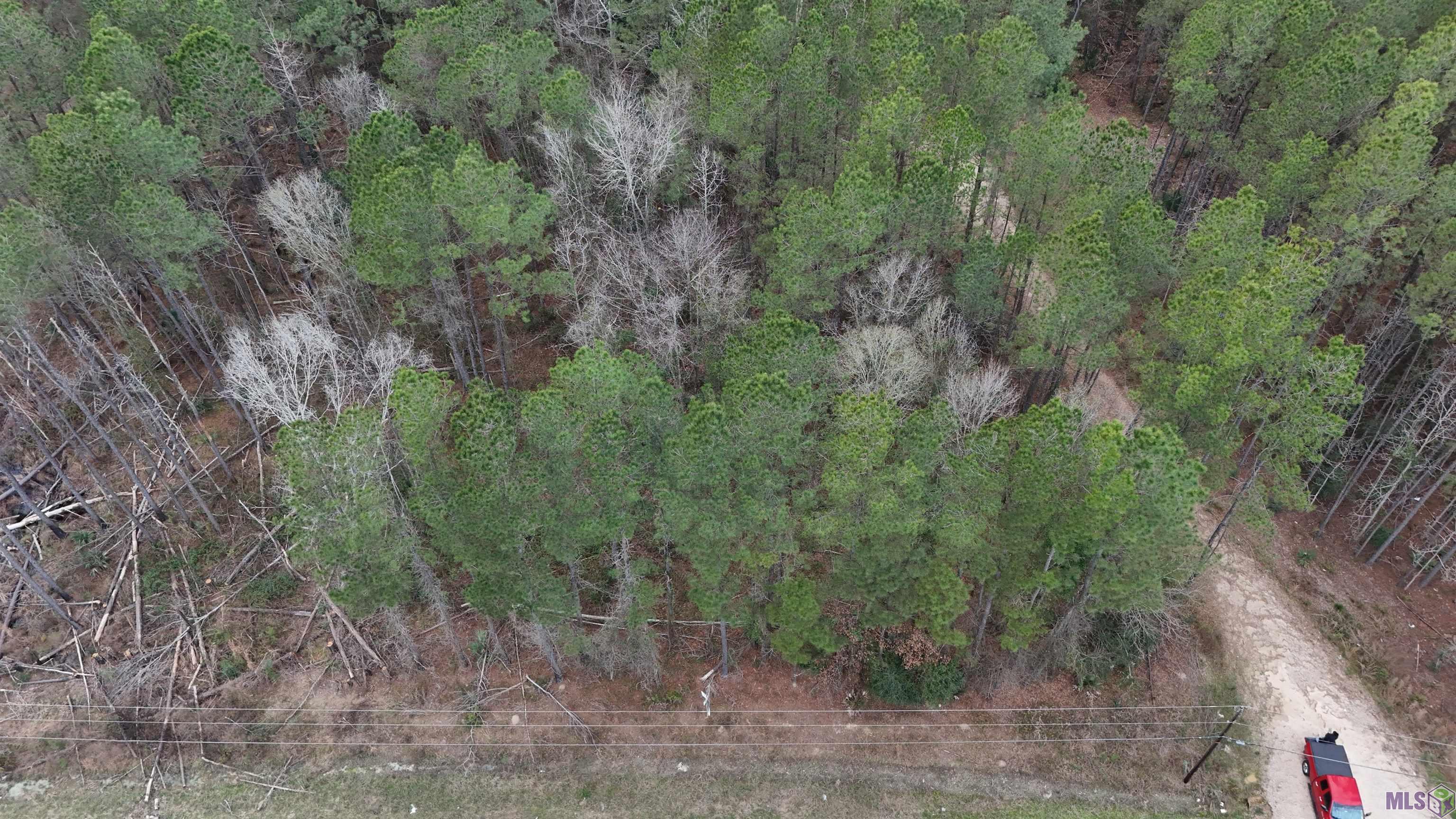 14373 Springfield Road Walker, LA 70785 - Photo 3 of 14