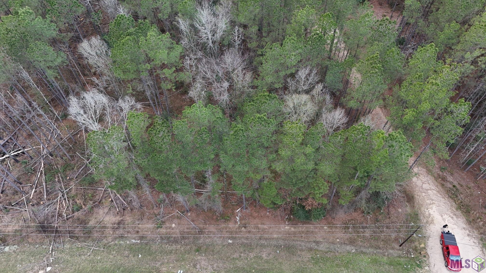 14373 Springfield Road Walker, LA 70785 - Photo 4 of 14