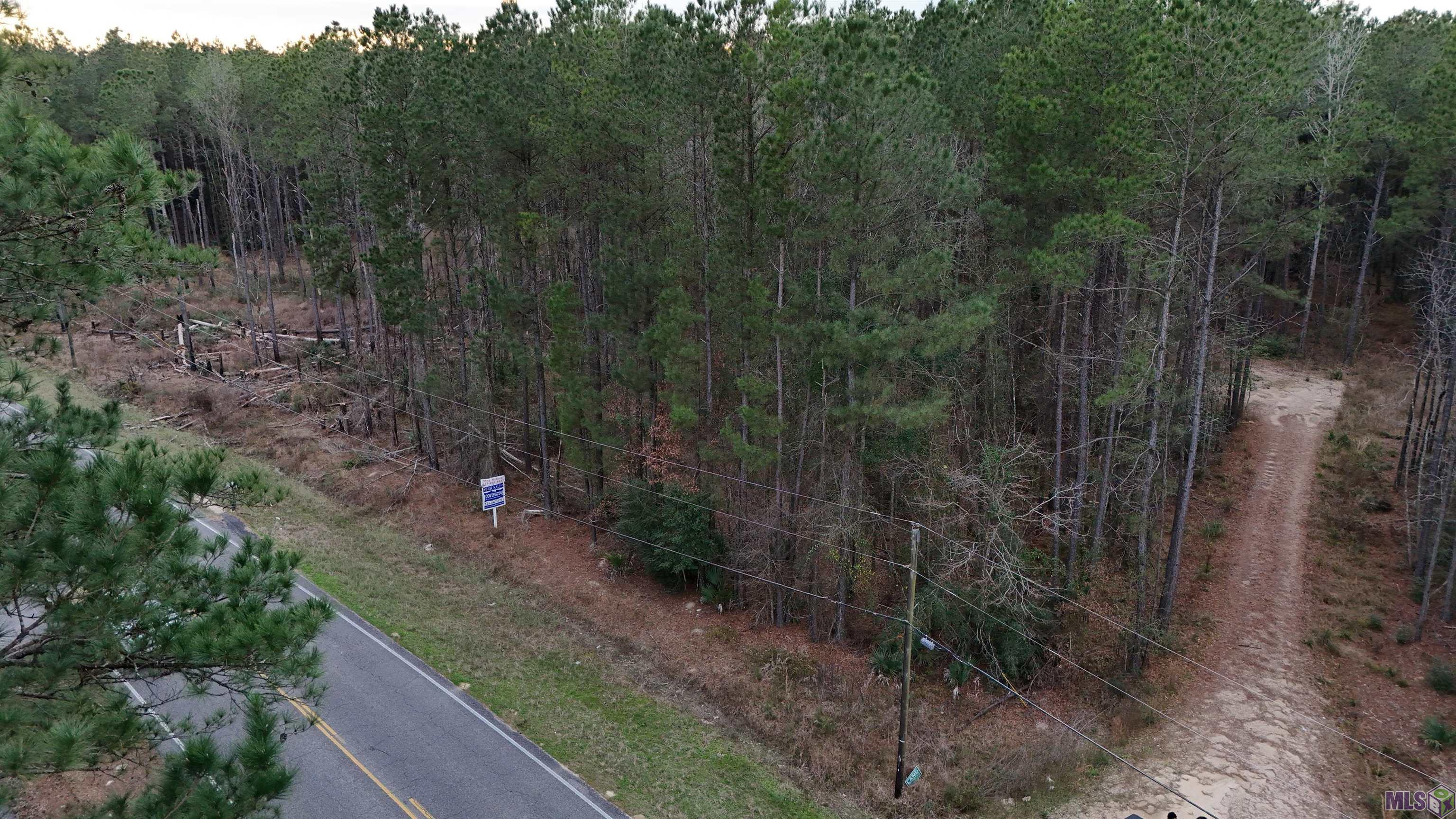 14373 Springfield Road Walker, LA 70785 - Photo 7 of 14