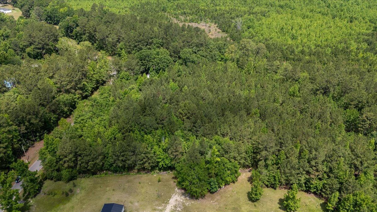 0 Deneaux Road Rowesville, SC 29133 - Photo 39 of 43 39-Deneaux-29