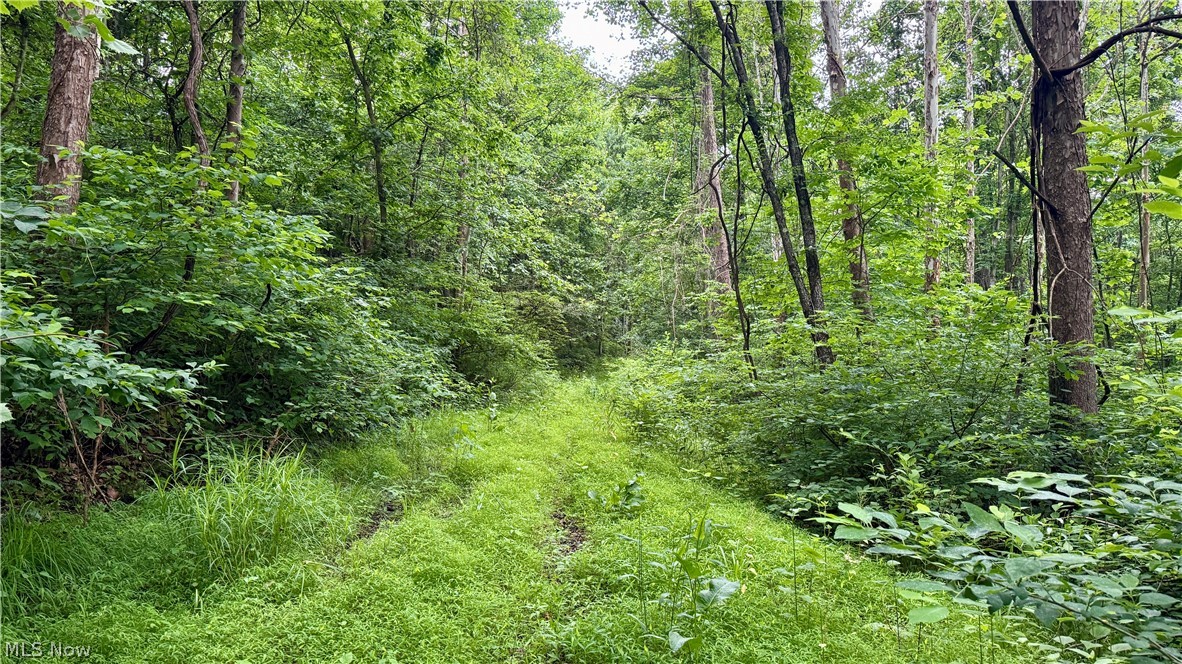 Marlott Run Road Kimbolton, OH 43749 - Photo 17 of 49