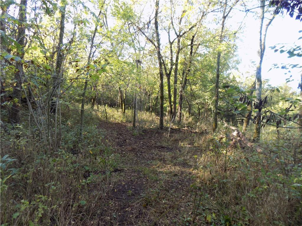 Rock Creek Road Williamsburg, KS 66095 - Photo 17 of 61