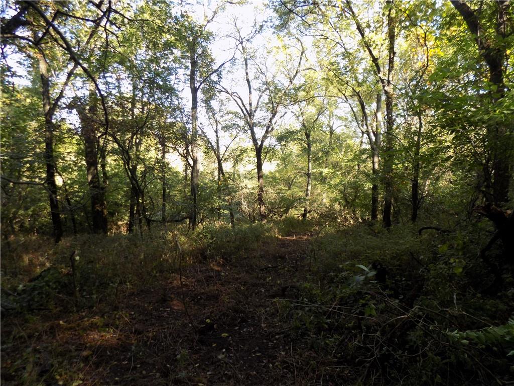 Rock Creek Road Williamsburg, KS 66095 - Photo 52 of 61