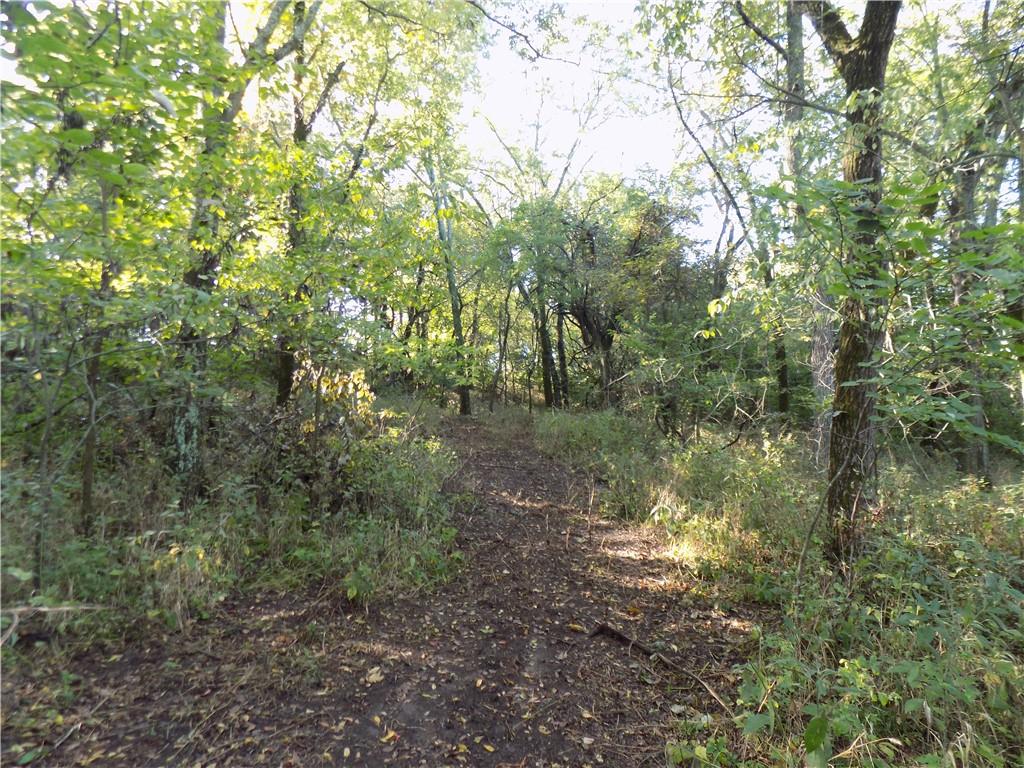 Rock Creek Road Williamsburg, KS 66095 - Photo 8 of 61