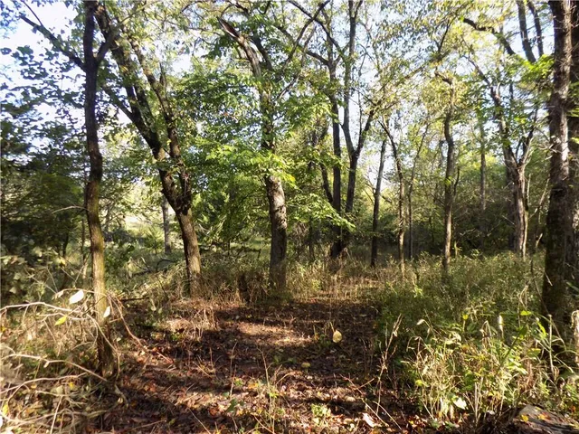 $495,000 | Rock Creek Road, Williamsburg, KS 66095