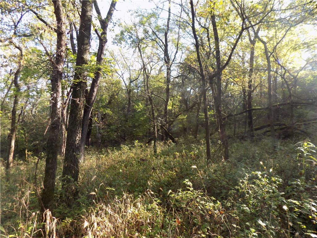 Rock Creek Road Williamsburg, KS 66095 - Photo 10 of 61