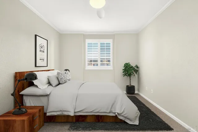 a view of a garden with a bench