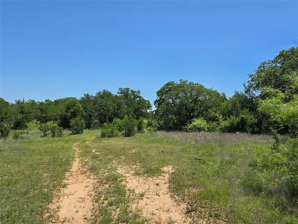 a big yard with lots of green space and deers