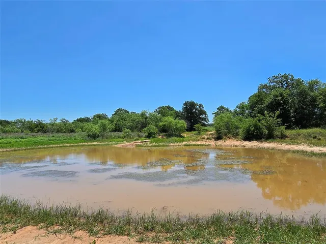 a view of a green field with lots of bushes
