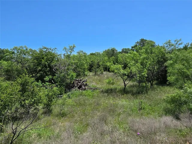 a view of a green field with lots of bushes