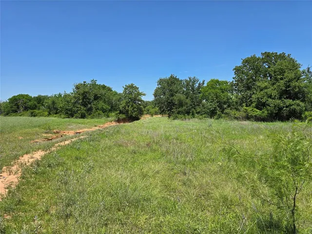 a view of a lush green space and sea
