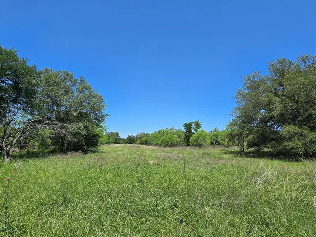 a view of a grassy field with trees in the background