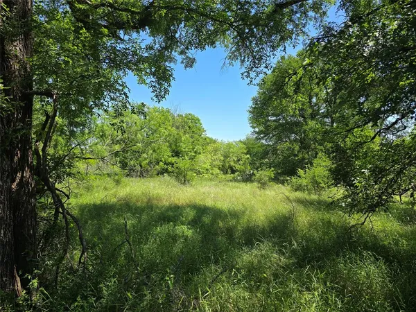 a view of a lush green space