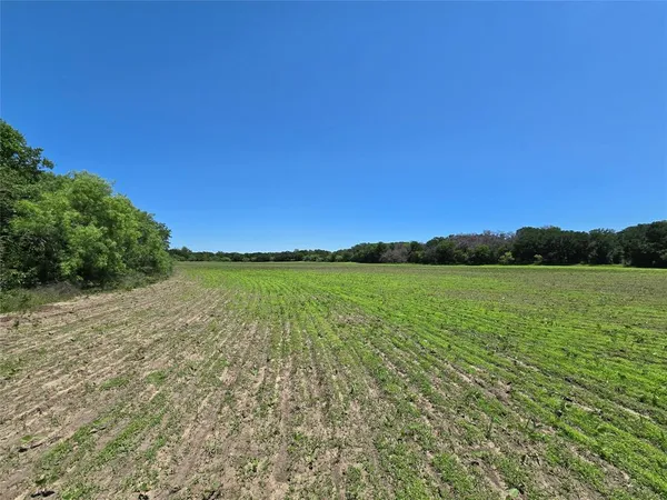 a view of a back yard