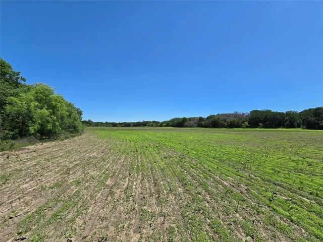 a view of a back yard