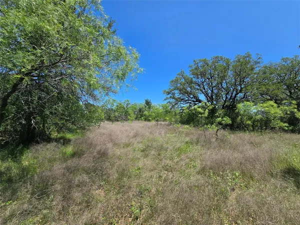 a view of a green field with lots of bushes