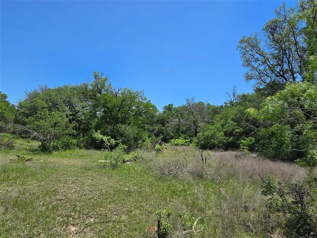 a view of a green field with lots of bushes