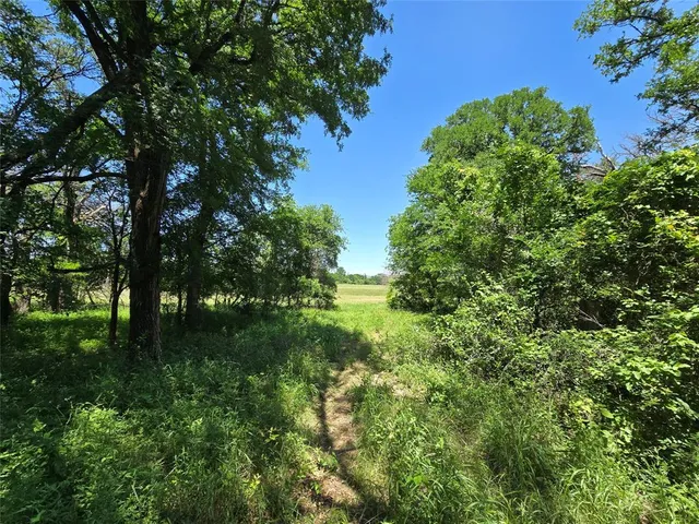 $787,580 | 450 County Road 250, Gustine, TX 76455