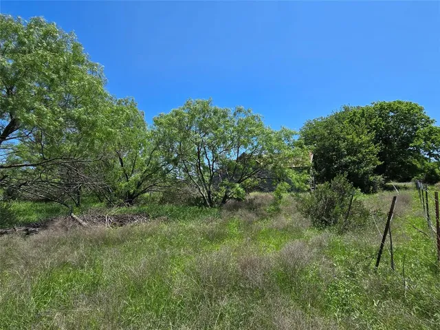 a view of a green field with lots of bushes