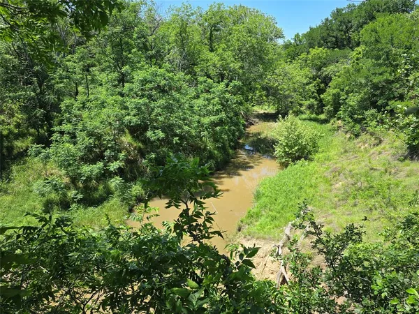 a view of a lush green forest with lots of trees