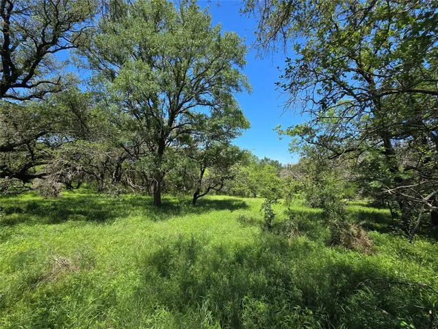 a view of a lush green space
