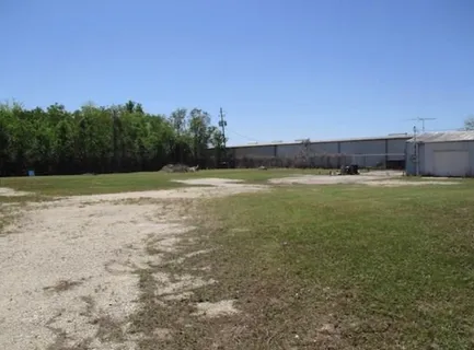 a view of large trees with a big yard