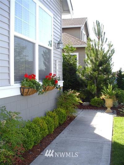 27901 Maple Ridge Way Southeast Maple Valley, WA 98038 - Photo 1 of 1