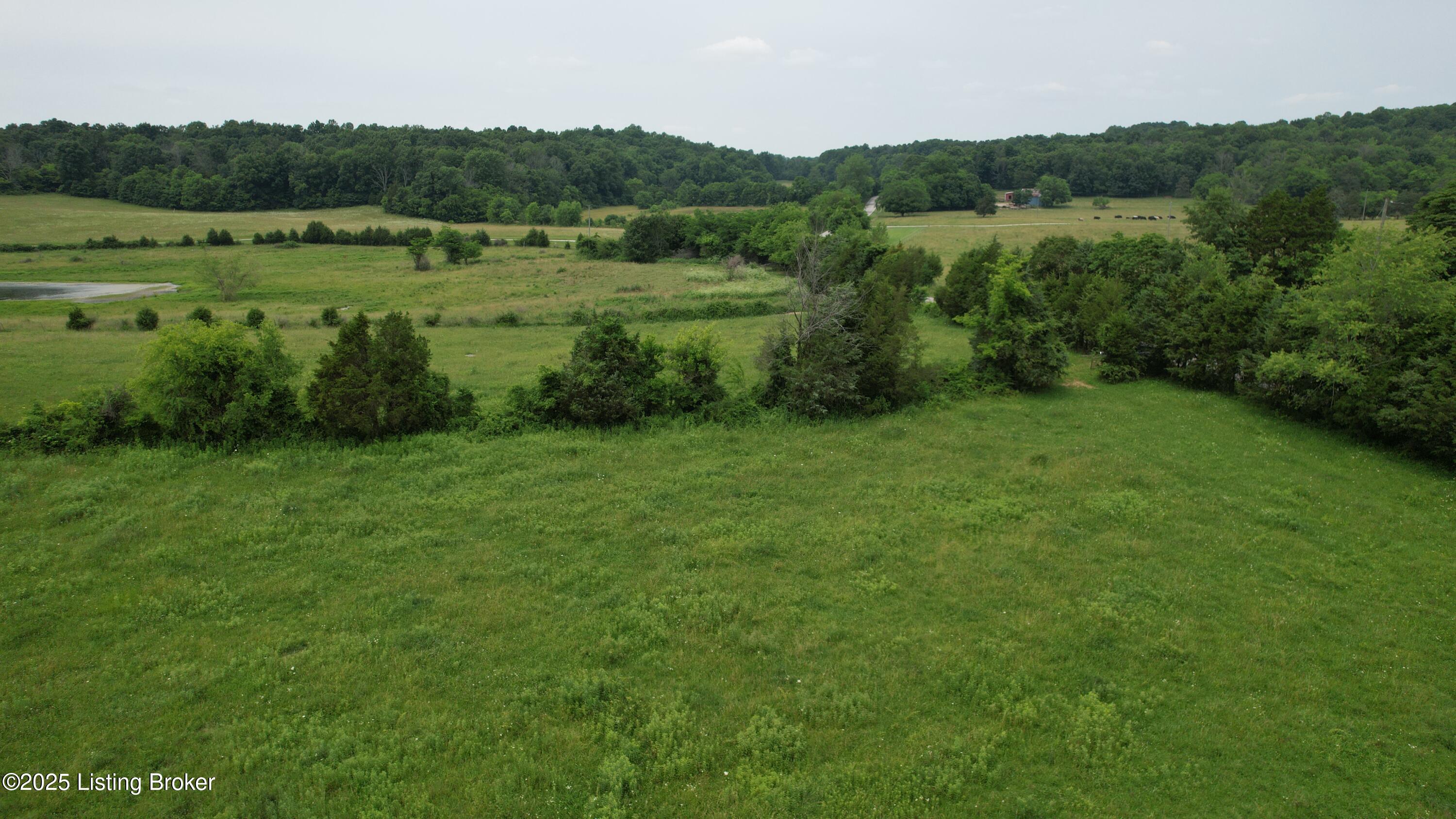 0 Upton Road Upton, KY 42784 - Photo 51 of 71 DJI_0979
