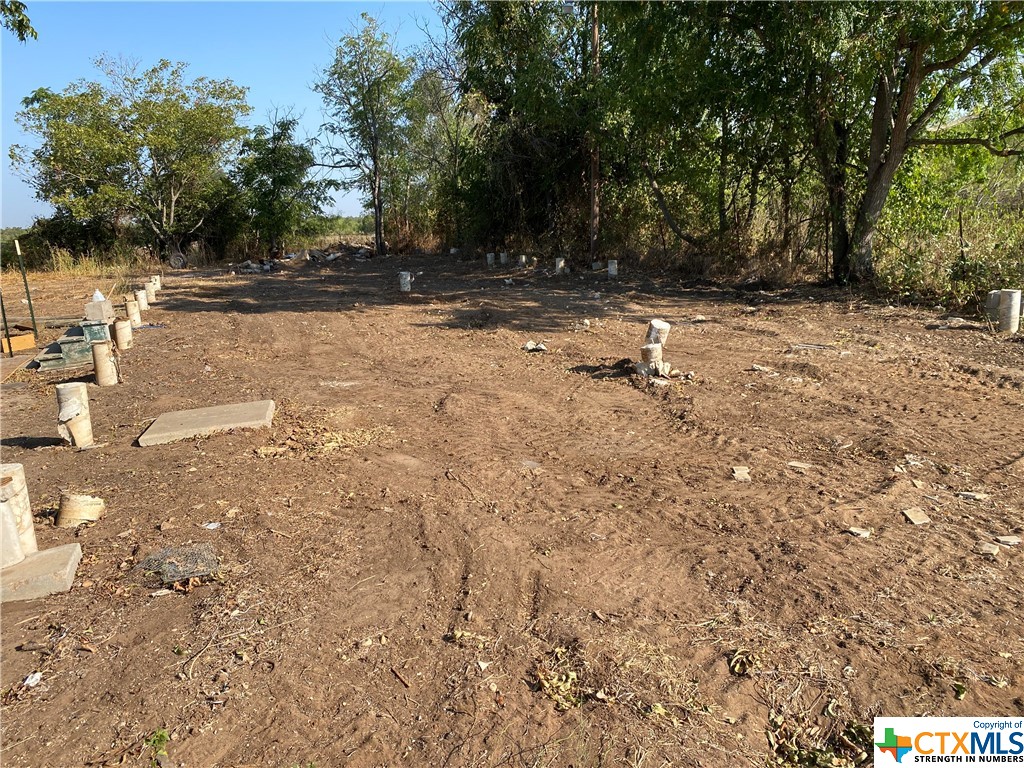 a backyard of a house with trees and path