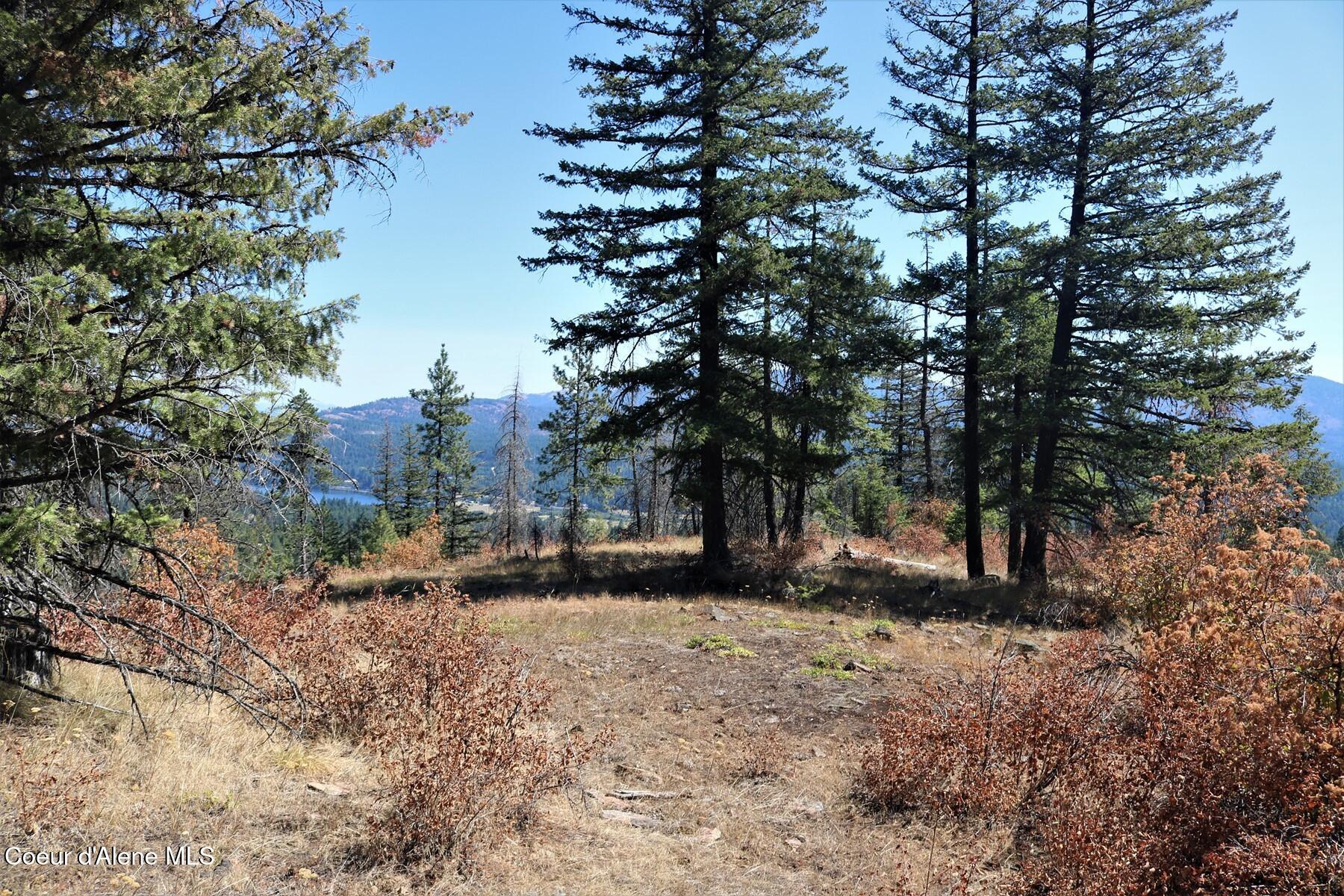 700 Outlook Road Cocolalla, ID 83813 - Photo 20 of 32 IMG_6475