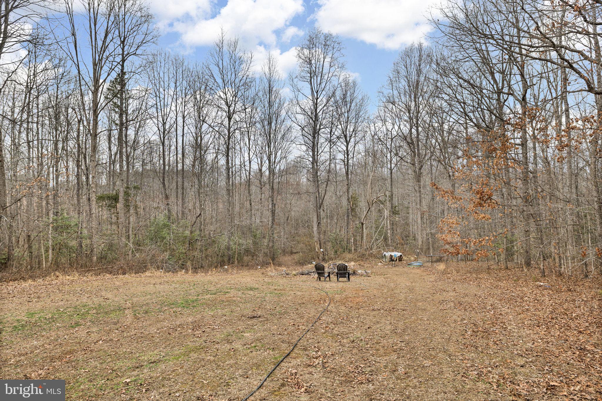 278 Rising Sun Road Mineral, VA 23117 - Photo 38 of 45 Open Backyard