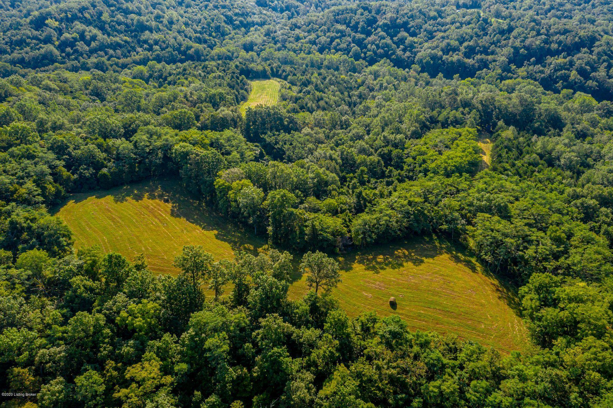 901 Goose Creek Road Bagdad, KY 40003 - Photo 7 of 28 Aerial field