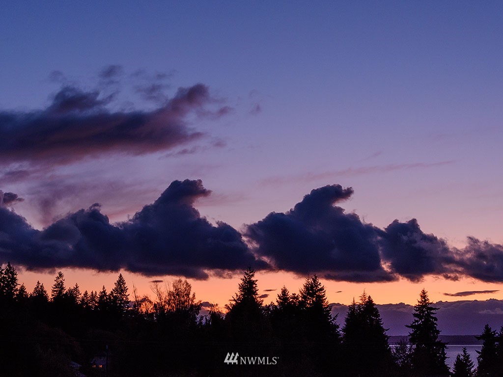 7515 Braemar Drive Edmonds, WA 98026 - Photo 5 of 40