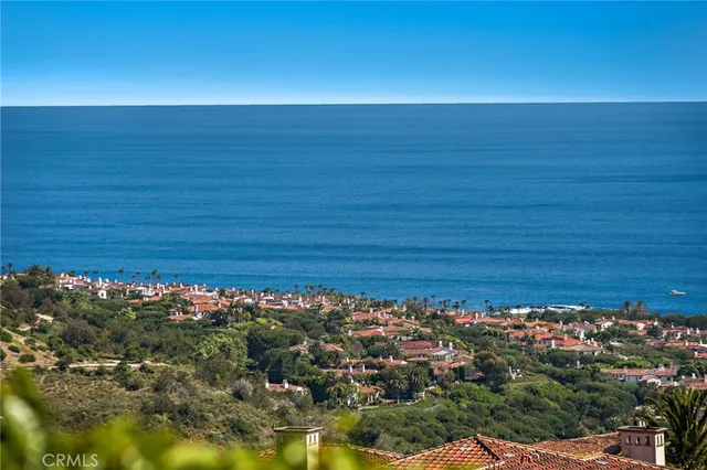 a view of a large body of water with lots of green space