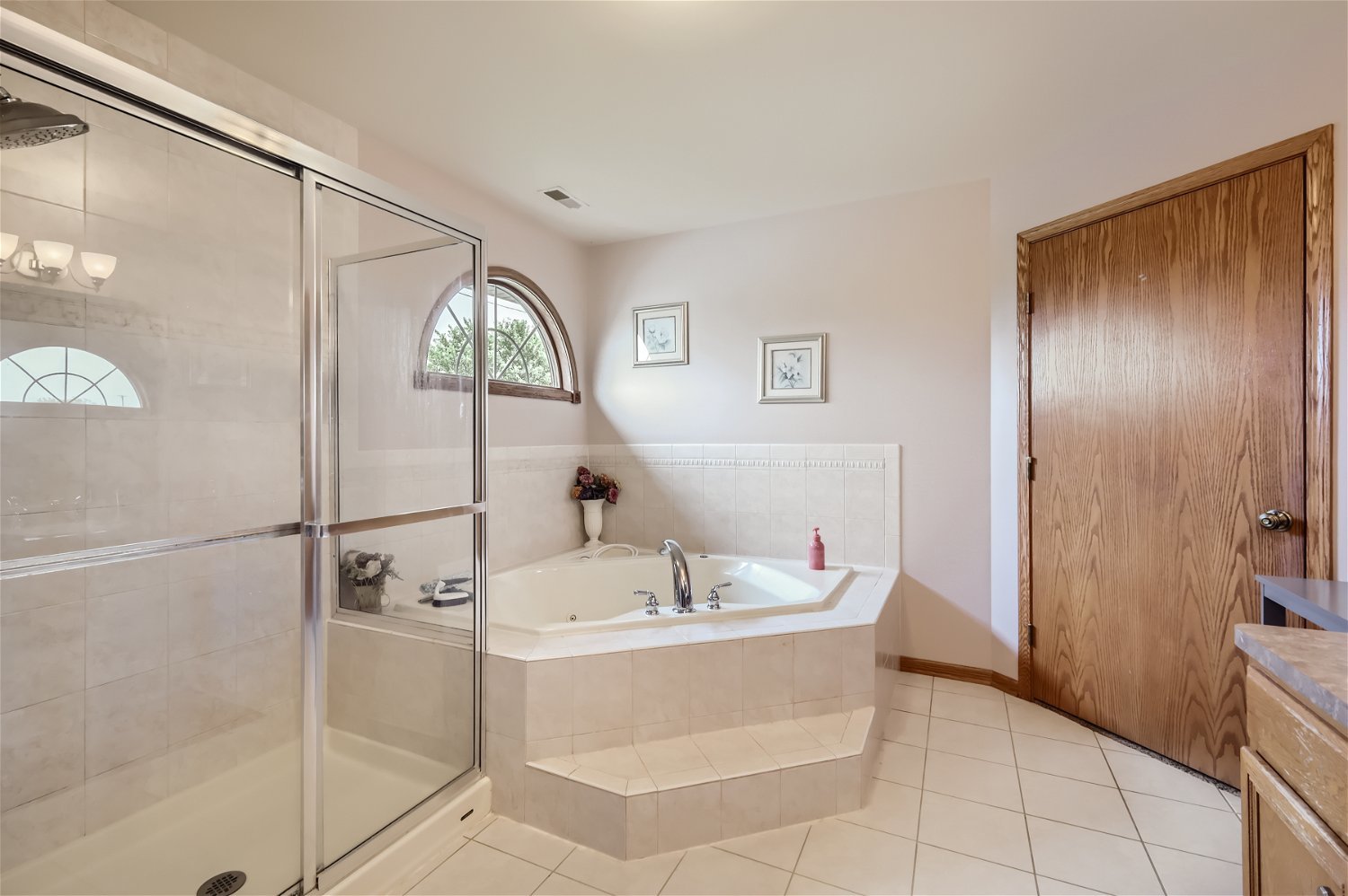 18255 Cork Road Tinley Park, IL 60477 - Photo 16 of 29 a bathroom with a bathtub and a shower