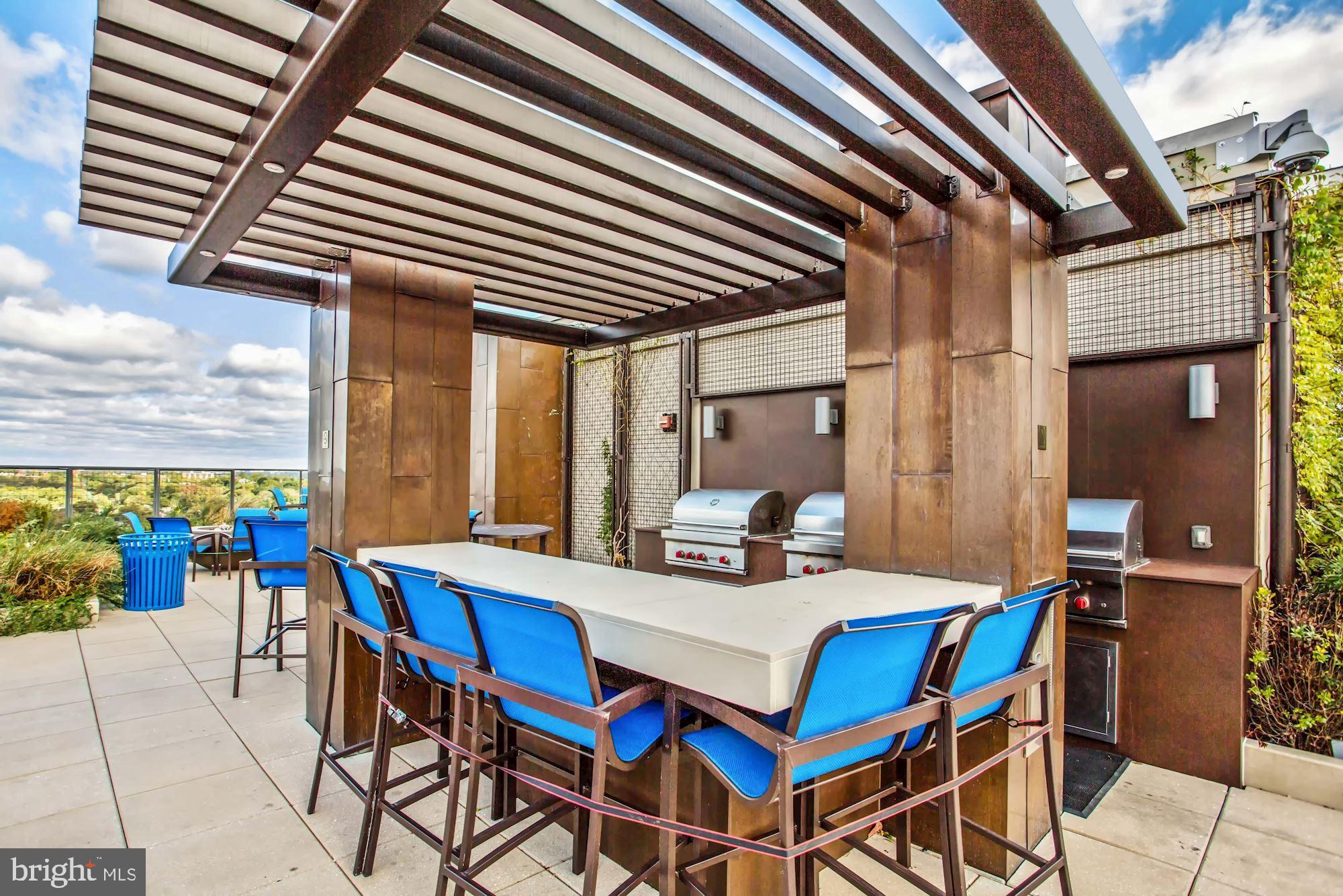 851 North Glebe Road, Unit 418 Arlington, VA 22203 - Photo 23 of 25 Rooftop grille area