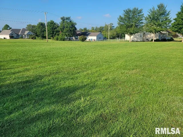 a view of green field