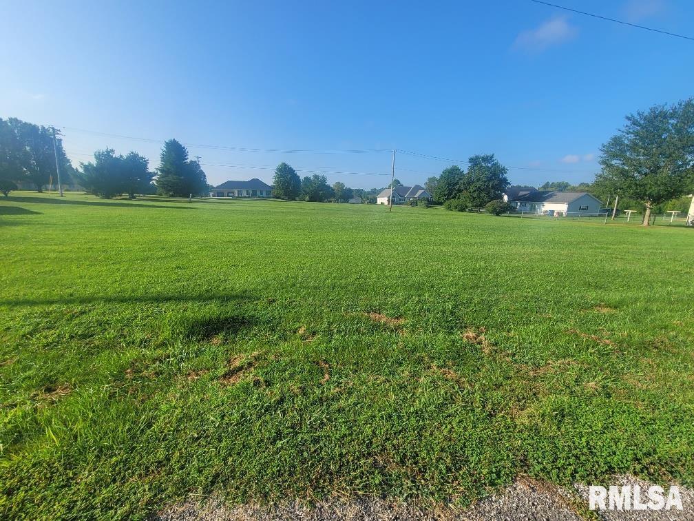 0 Memory Lane McLeansboro, IL 62859 - Photo 6 of 8 a yard with lots of green space