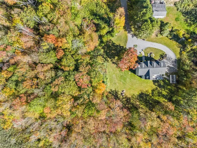 a view of path along with trees
