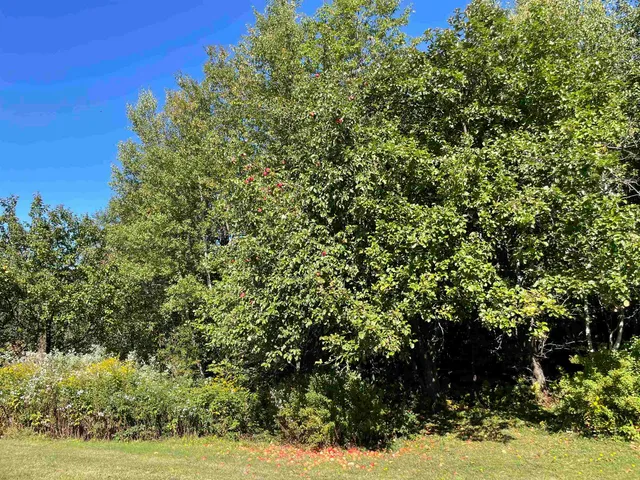 $399,000 | 364 Lucier Farm Road, Jay, VT 05859