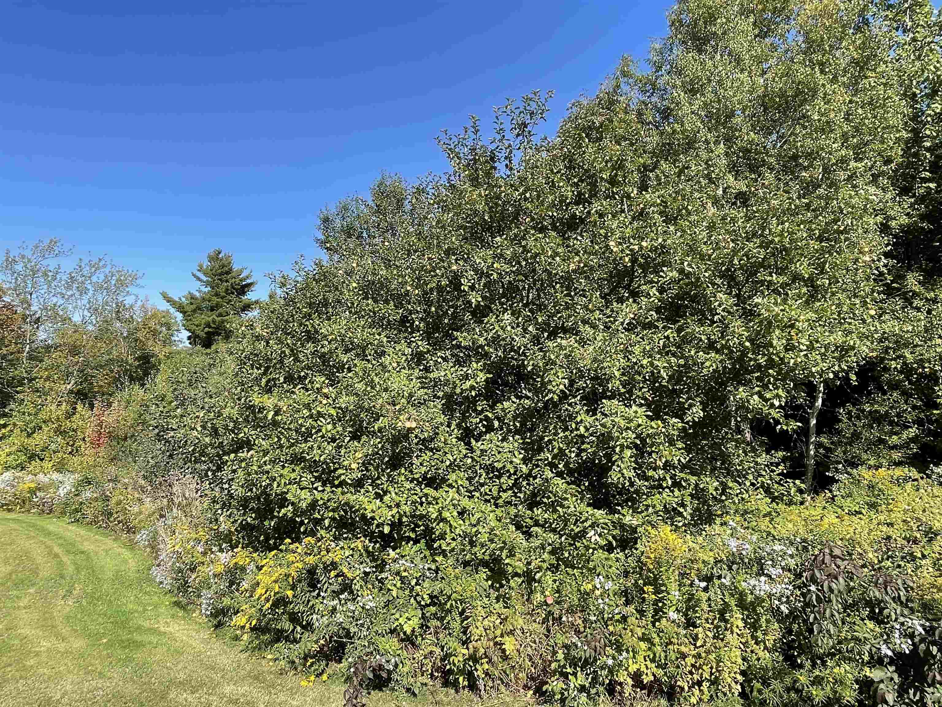 364 Lucier Farm Road Jay, VT 05859 - Photo 37 of 52