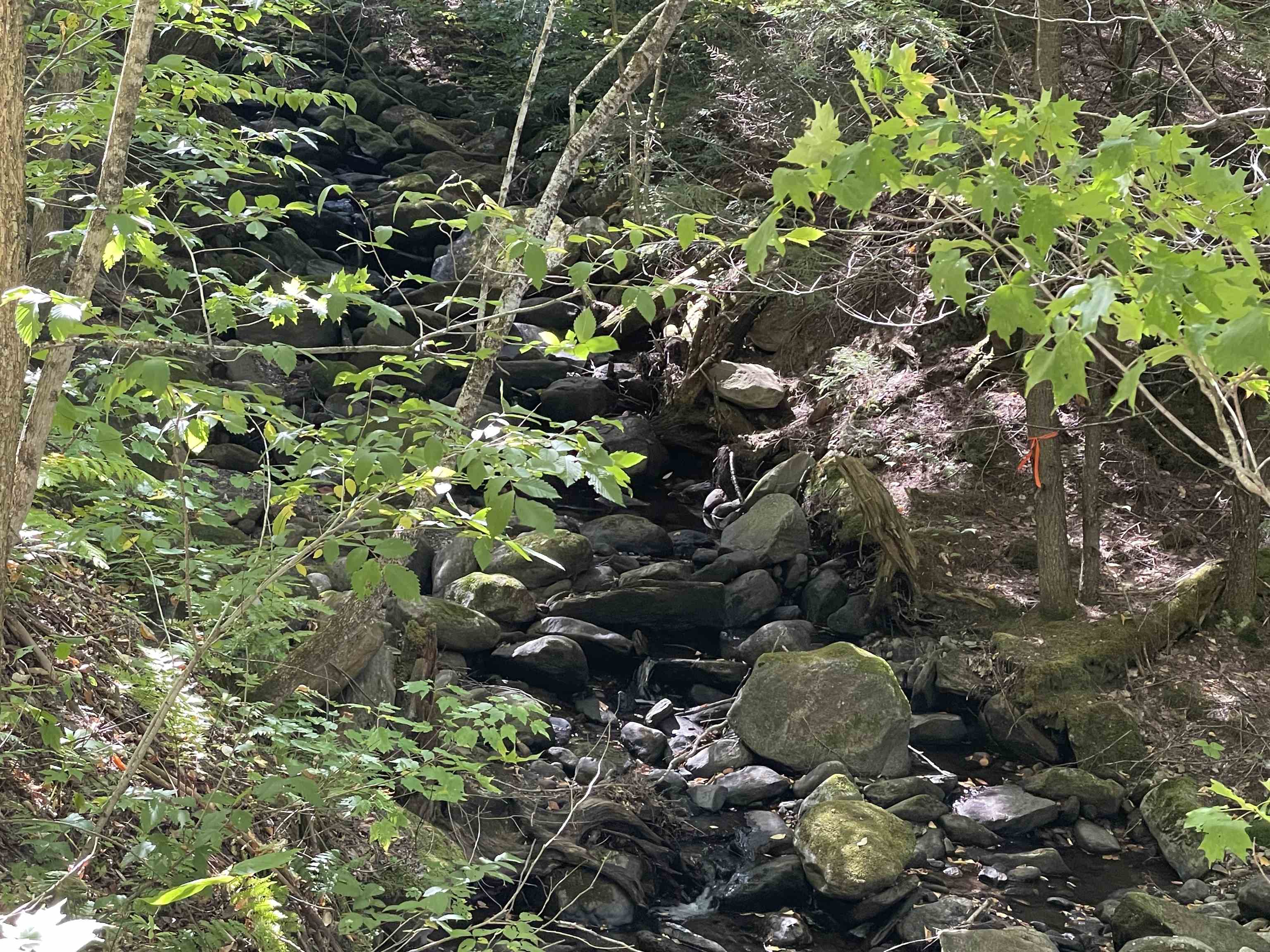 364 Lucier Farm Road Jay, VT 05859 - Photo 46 of 52