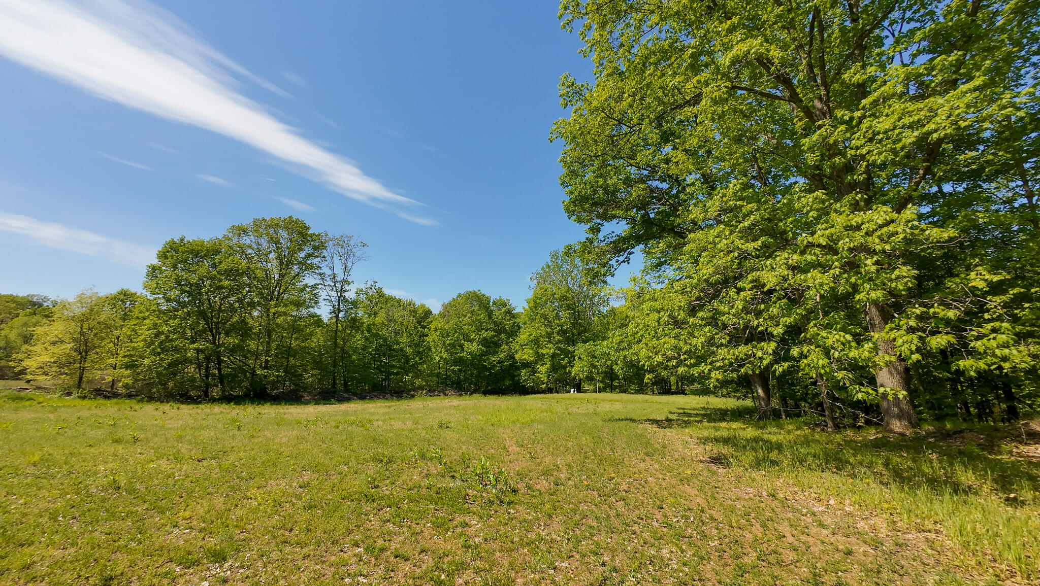 4196 West 4 Mile Road White Cloud, MI 49349 - Photo 49 of 65 DJI_20260527113724_0069_D