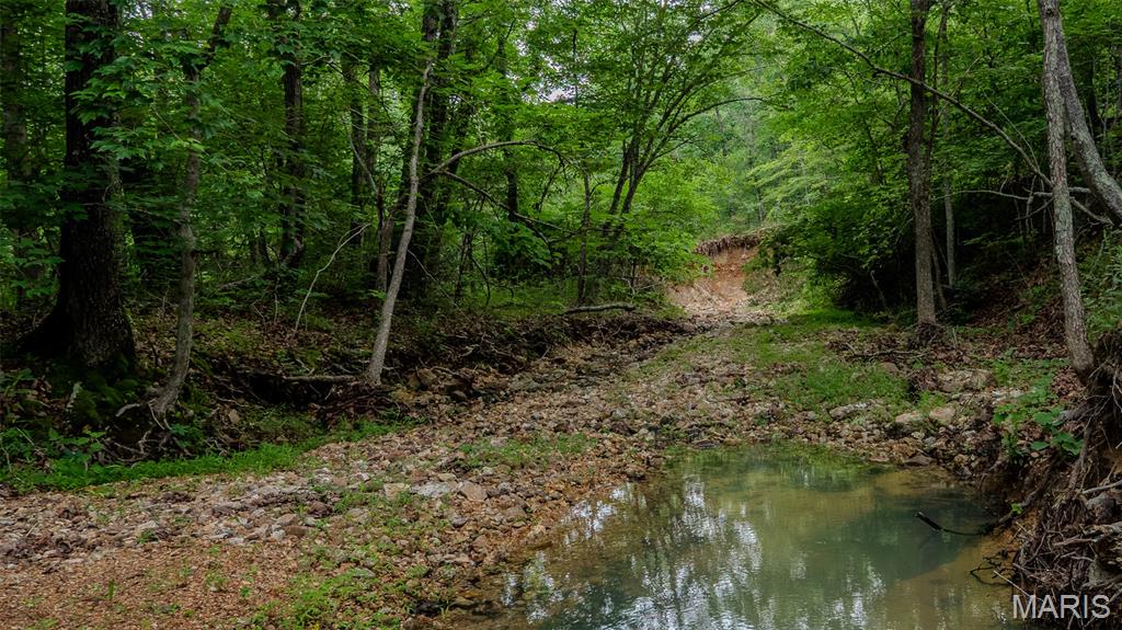 0 Hwy M Cabool, MO 65689 - Photo 12 of 68