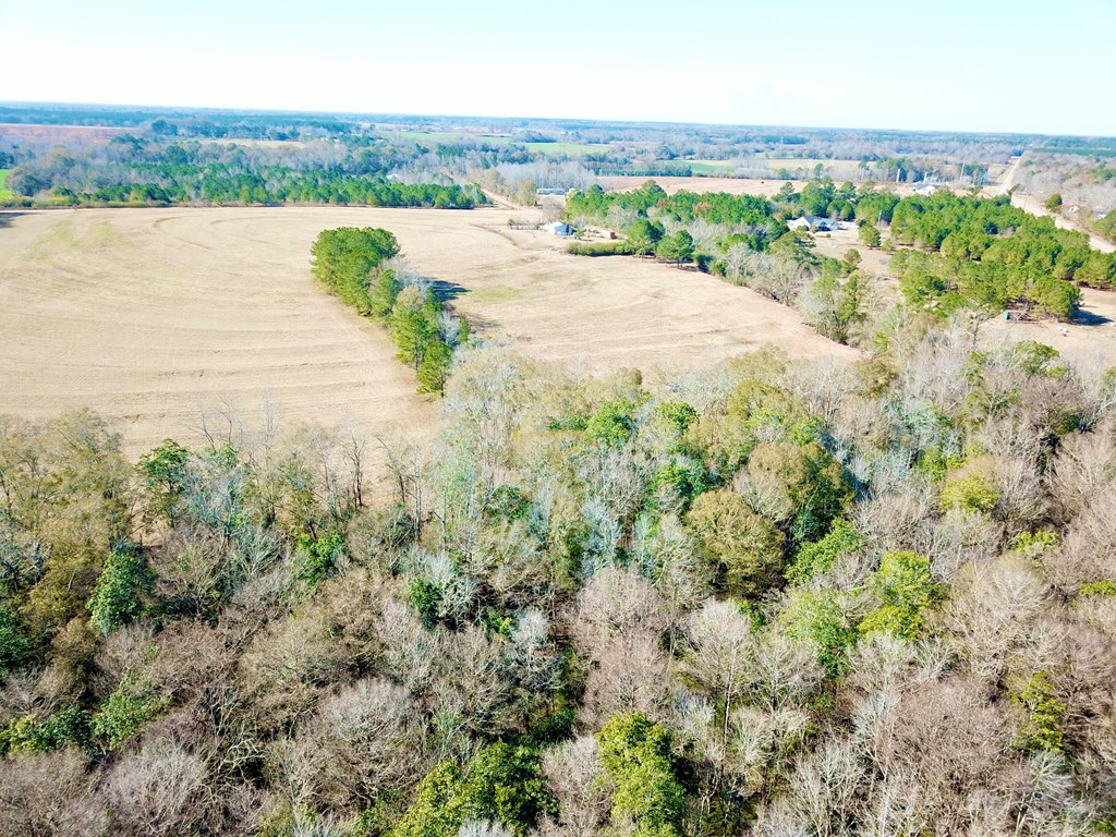 24.6-acres Grant Road Slocomb, AL 36375 - Photo 7 of 17