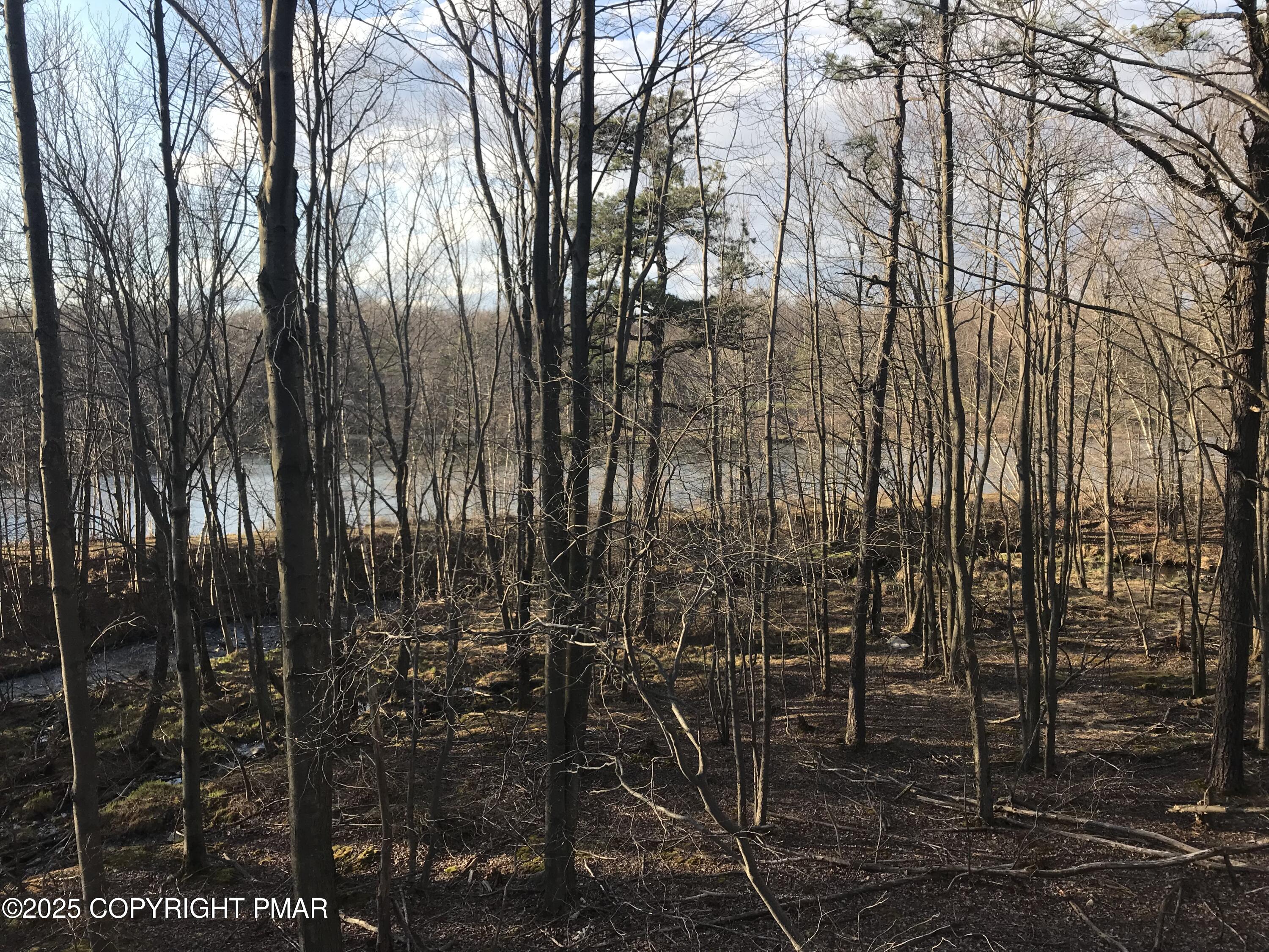 119 Mountain Road Albrightsville, PA 18210 - Photo 11 of 18 a view of outdoor space with garden