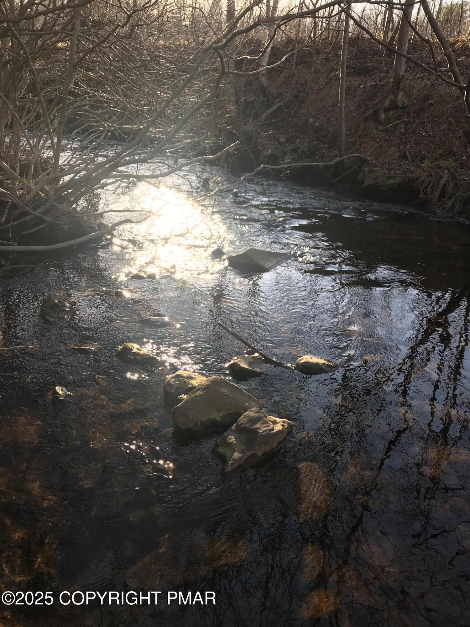 119 Mountain Road Albrightsville, PA 18210 - Photo 13 of 18 a view of lot of trees