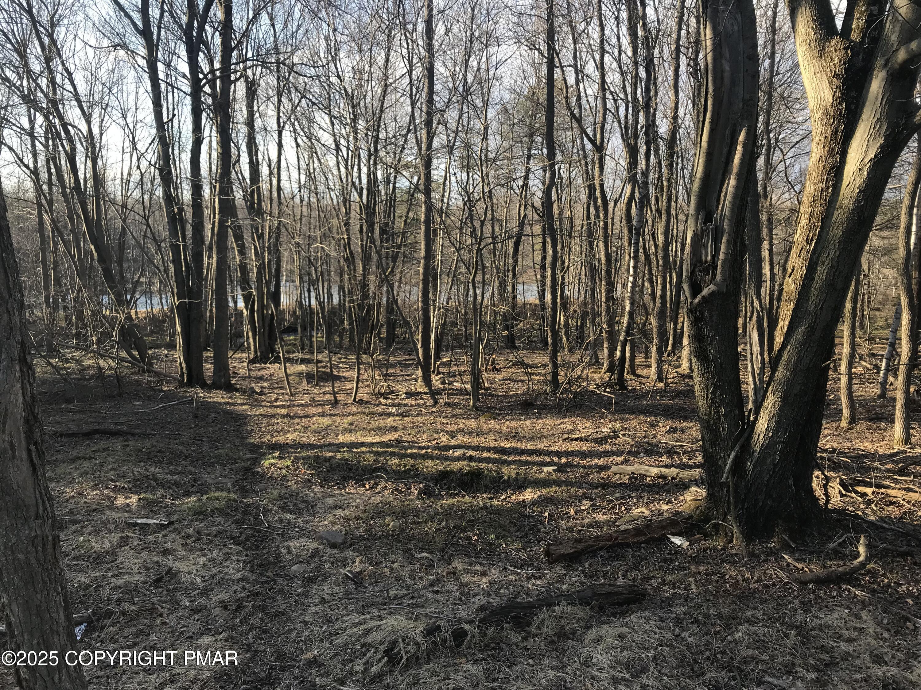 119 Mountain Road Albrightsville, PA 18210 - Photo 14 of 18 a view of outdoor space with trees