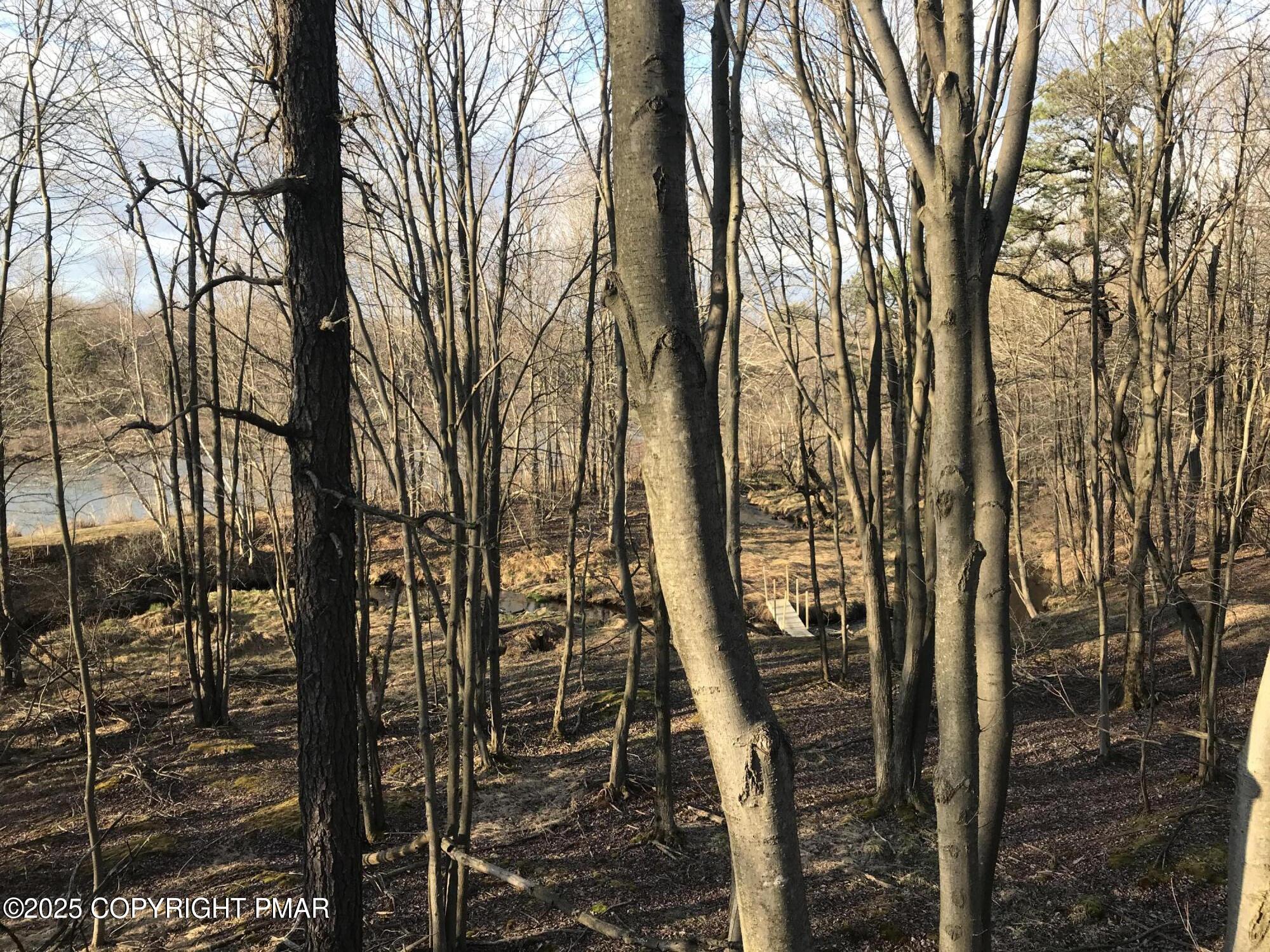119 Mountain Road Albrightsville, PA 18210 - Photo 16 of 18 a view of outdoor space